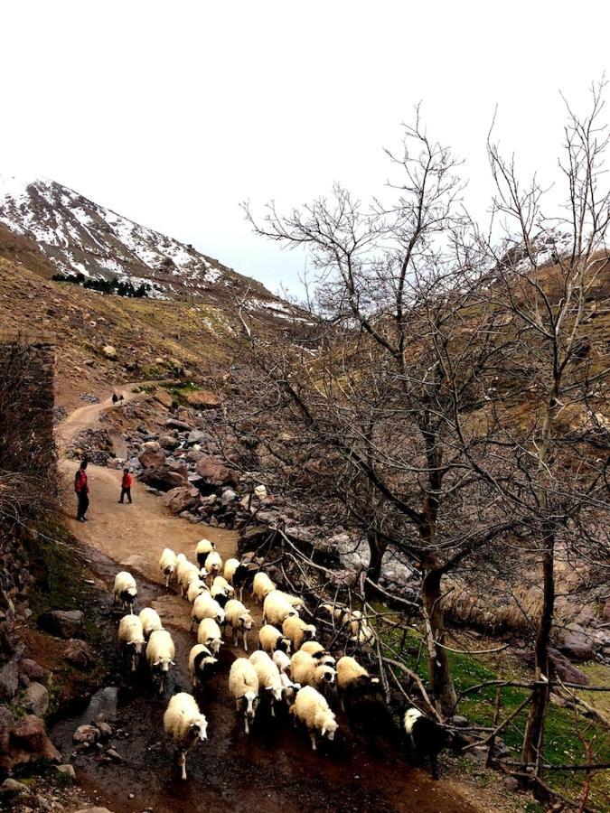 Gite Entre Les Vallees Tacheddirt Kültér fotó
